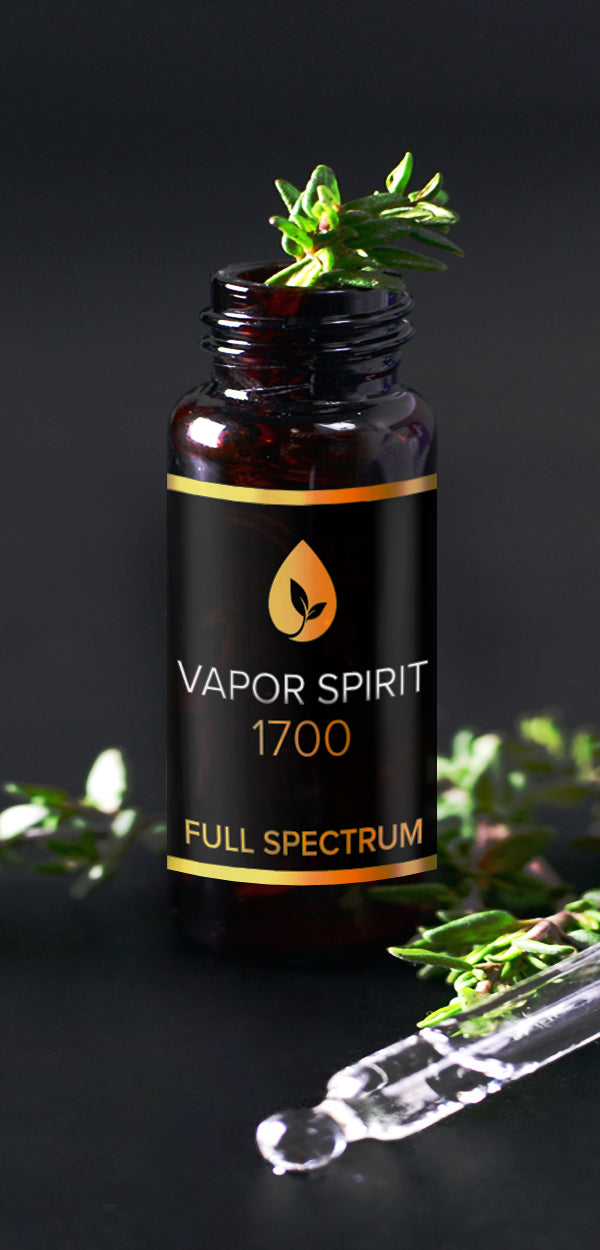 VAPOR SPIRIT 1700