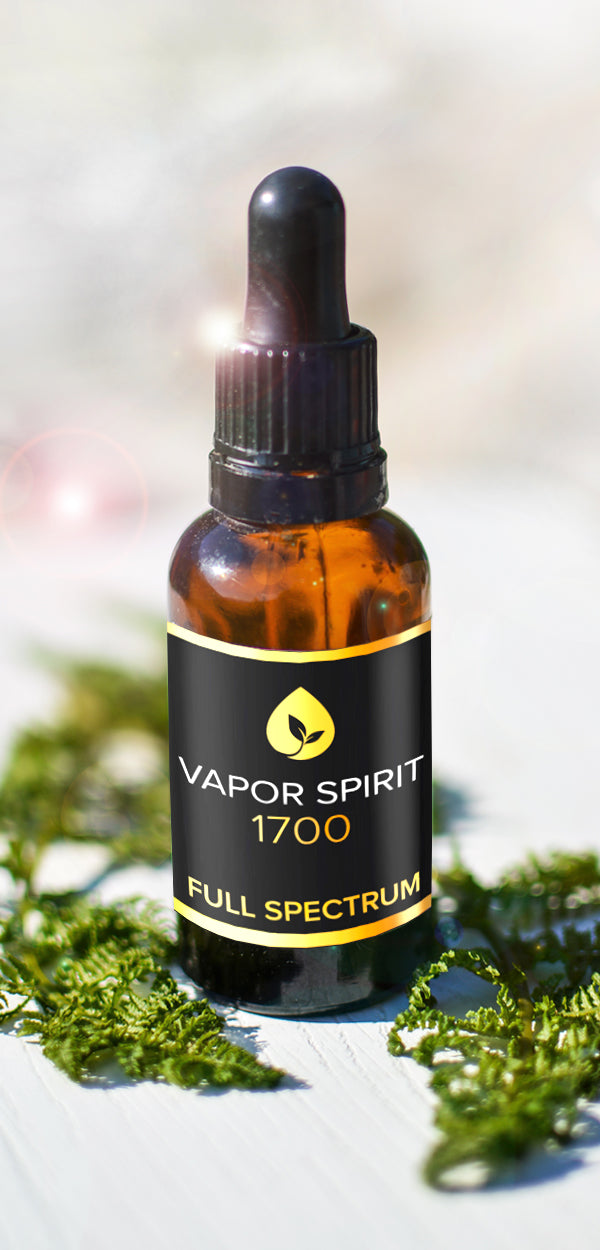 VAPOR SPIRIT 1700